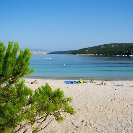 Seashell ヤドラニヴォ