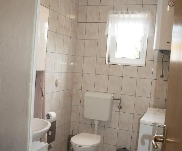 Seashell * ヤドラニヴォ