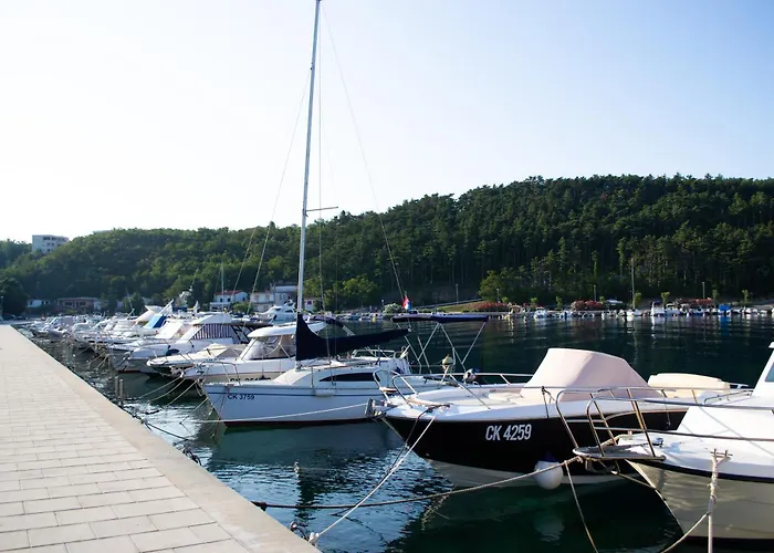 Seashell * ヤドラニヴォ